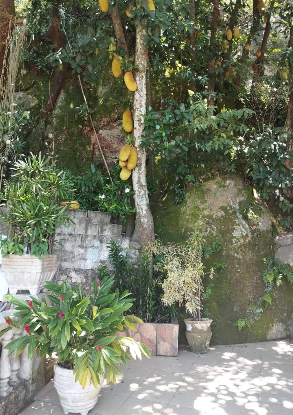 Casa Das Luzes Hostel Ivn Rio de Janeiro Buitenkant foto