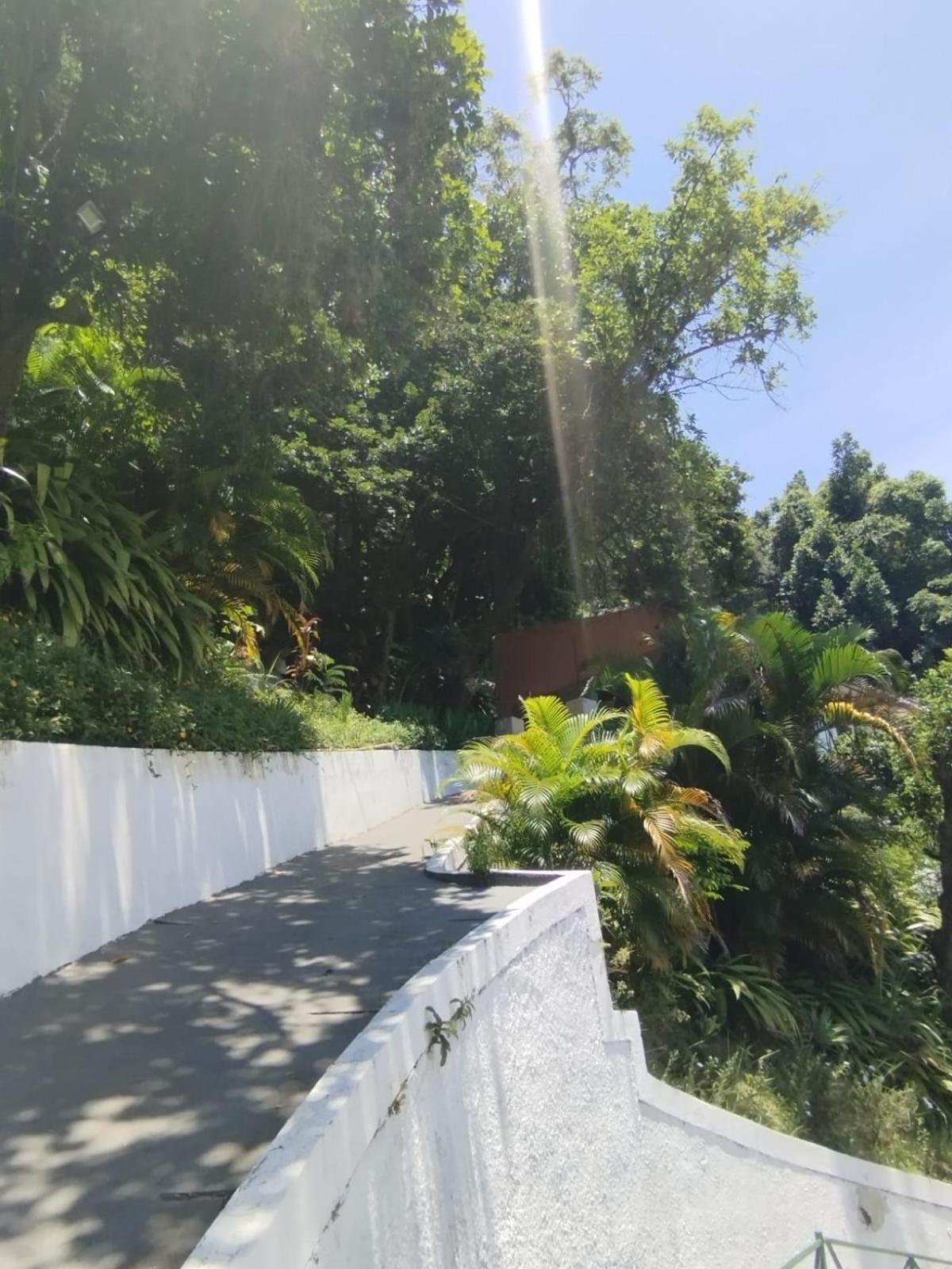 Casa Das Luzes Hostel Ivn Rio de Janeiro Buitenkant foto